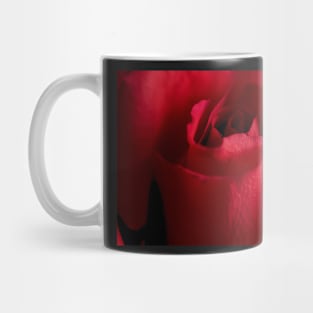 Red Rose Up Close Mug